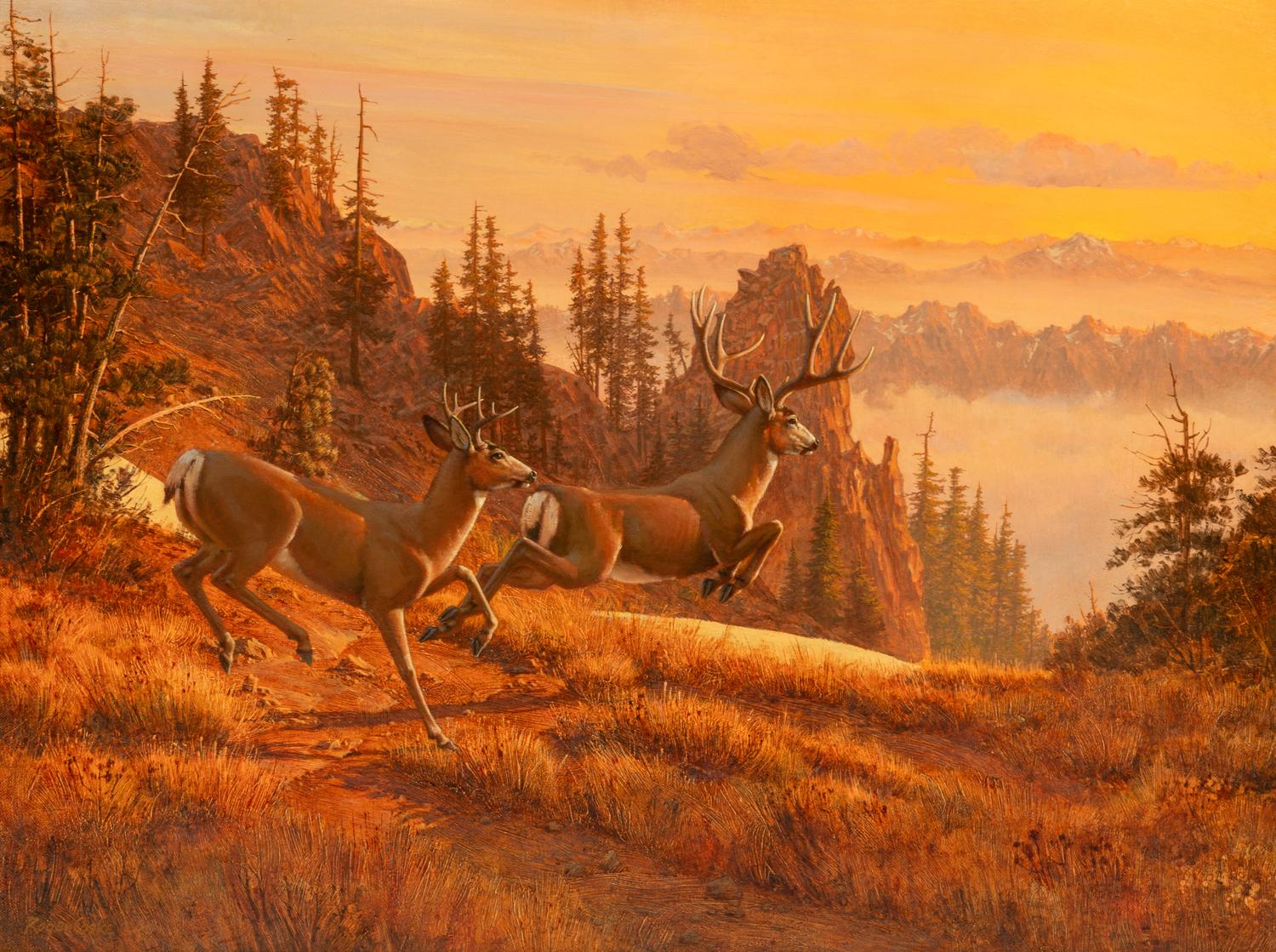 High Country , 1990
