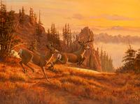 High Country , 1990