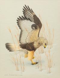 Group of Nine Works, American Bird Series, 1988