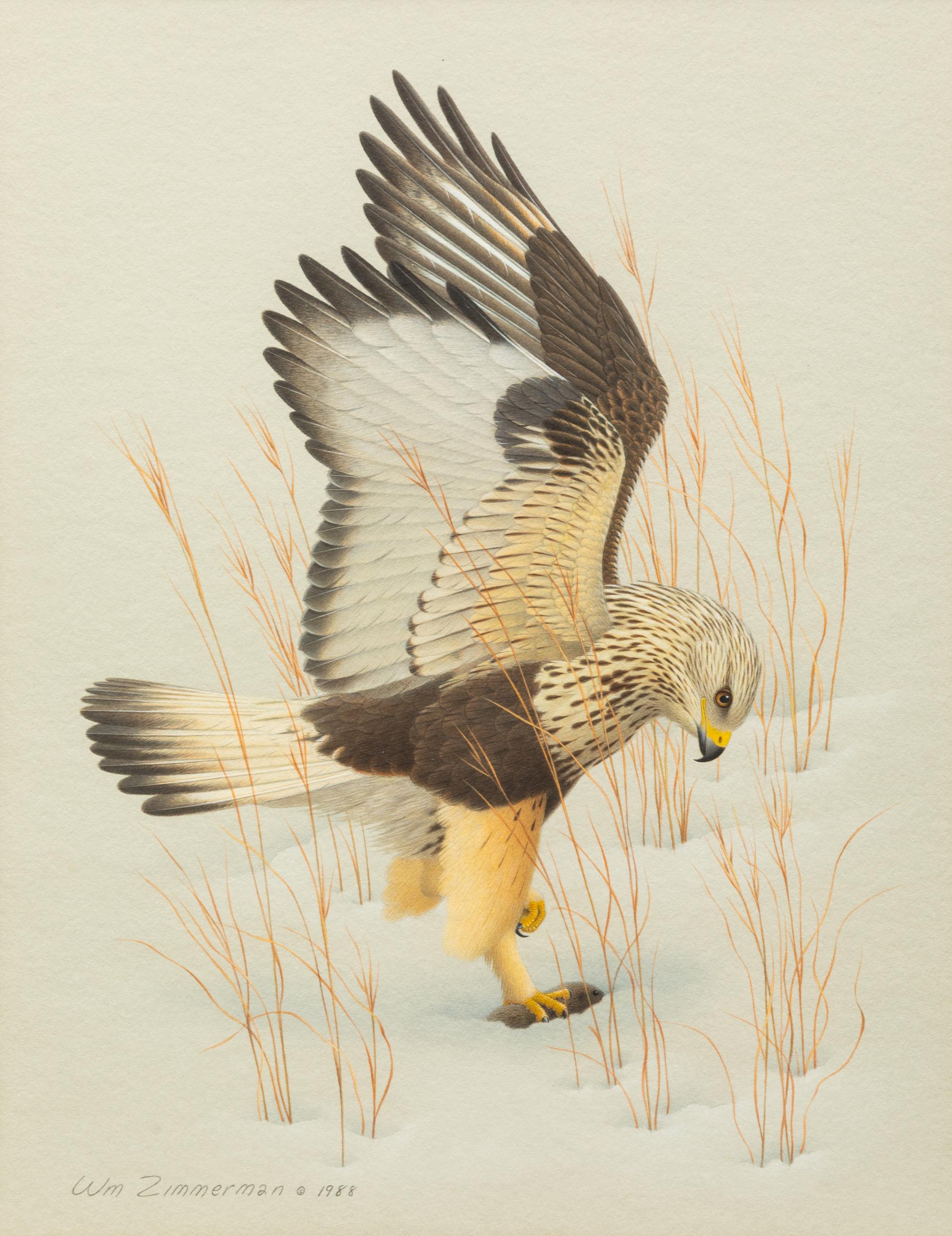 Group of Nine Works, American Bird Series, 1988