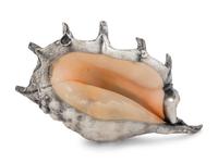 A Federico Buccellati Silver-Plate Mounted Conch Shell