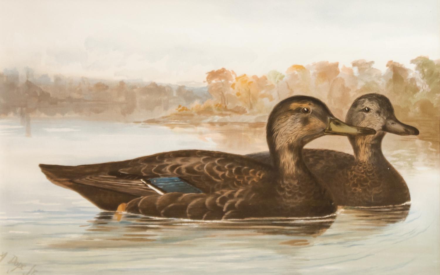 Alexander Pope Jr., (American, 1849-1924), chromolithograph Upland Game Birds and Waterfowl of the United States portfolio of 22 prints