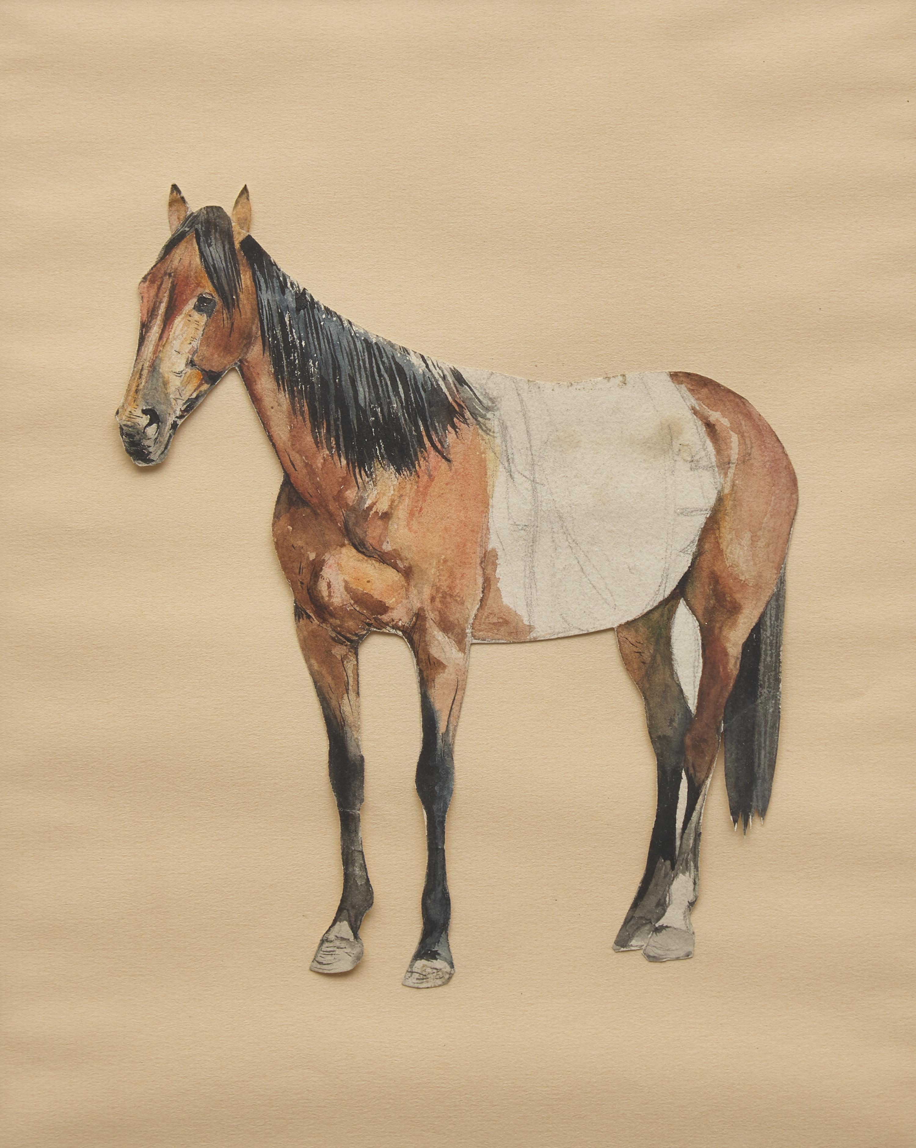 Edward Borein (American, 1972–1945) — Bay Horse