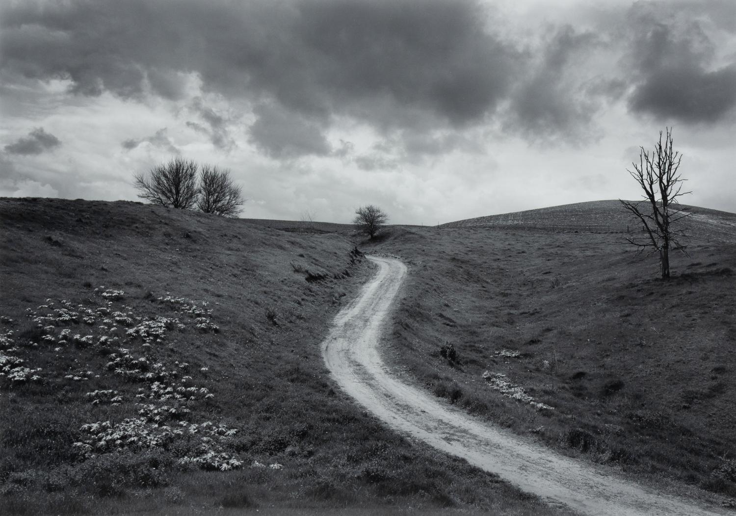 Michael Johnson
