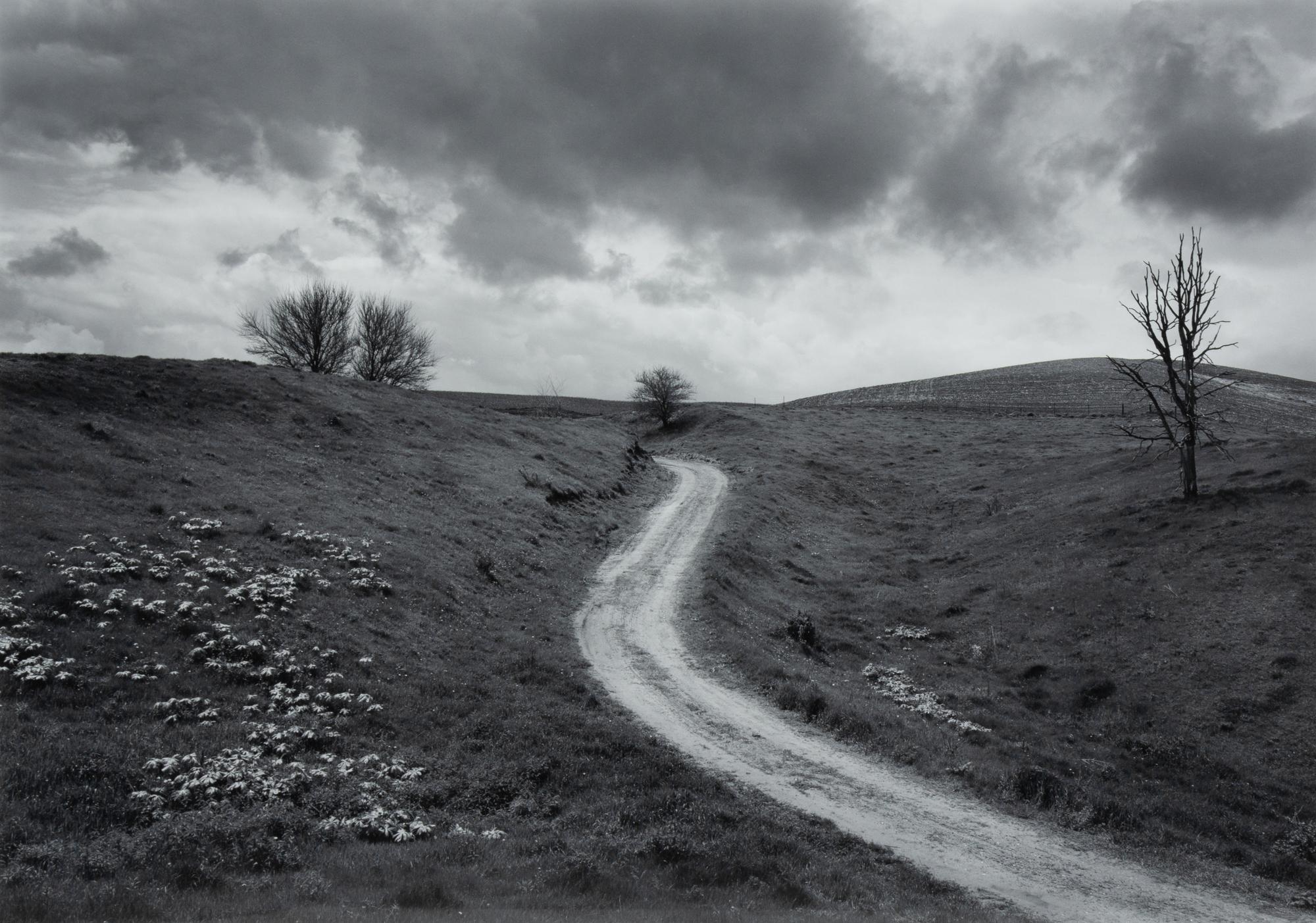 Michael Johnson