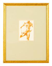 Male Torso
