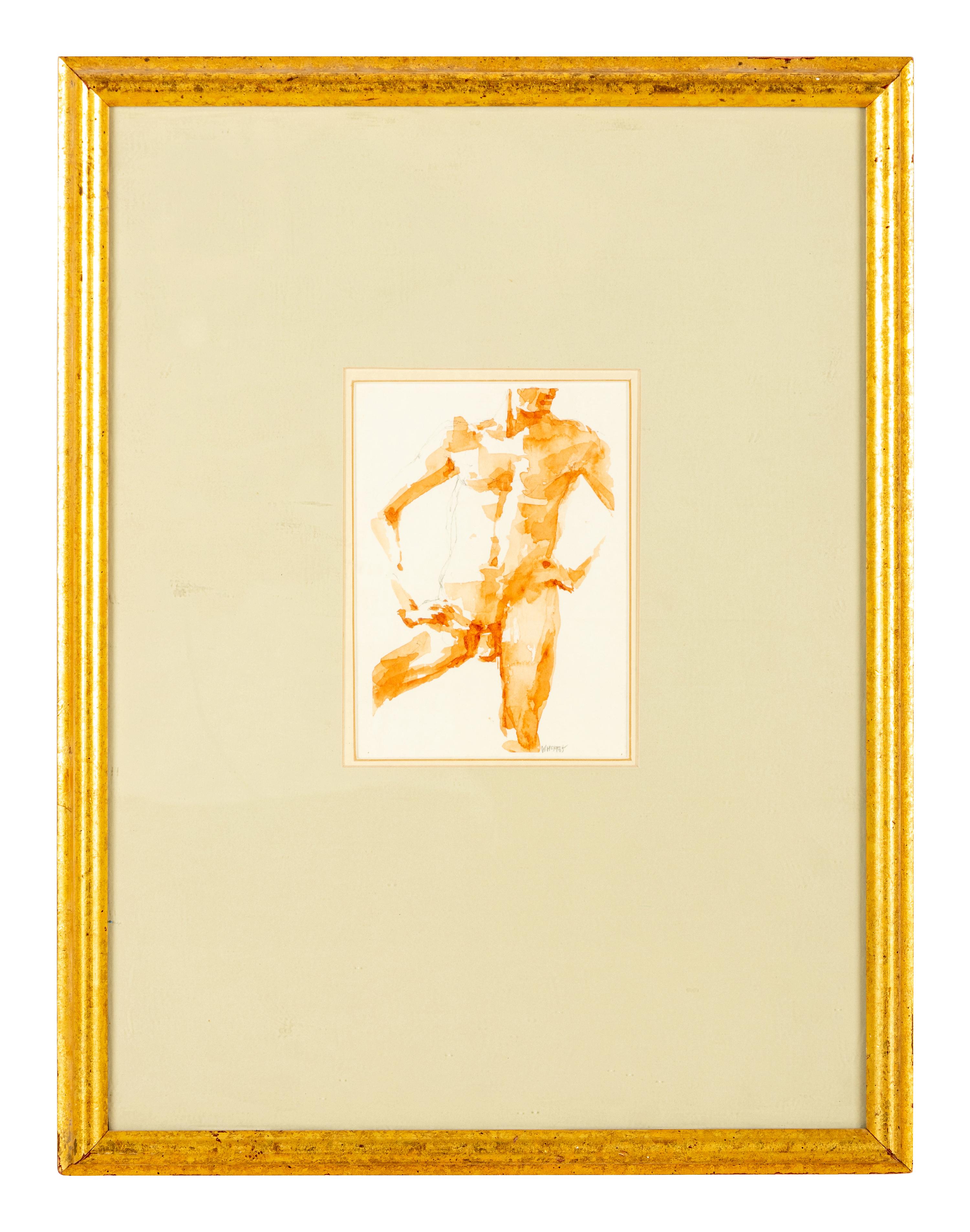 Male Torso