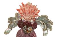 A Pair of Venetian Grotto Style Shellwork Two-Light Sconces