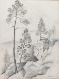 Landscape With Trees