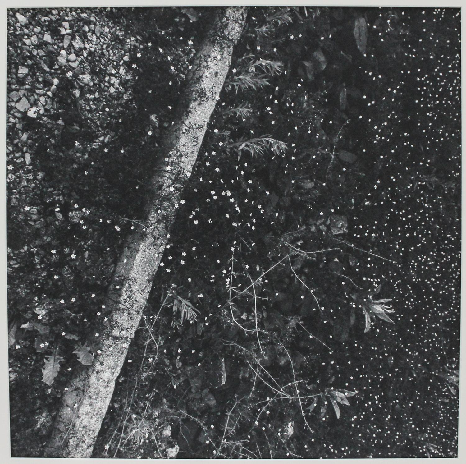 Alan Cohen, (American, b. 1943), Now (Buchenwald), 1994