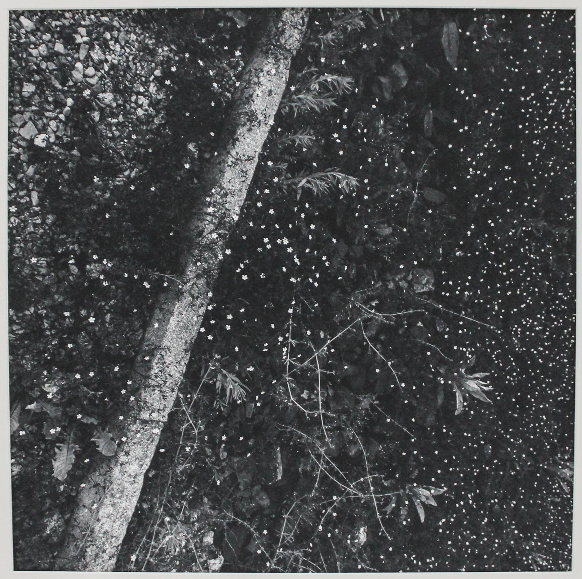 Alan Cohen, (American, b. 1943), Now (Buchenwald), 1994
