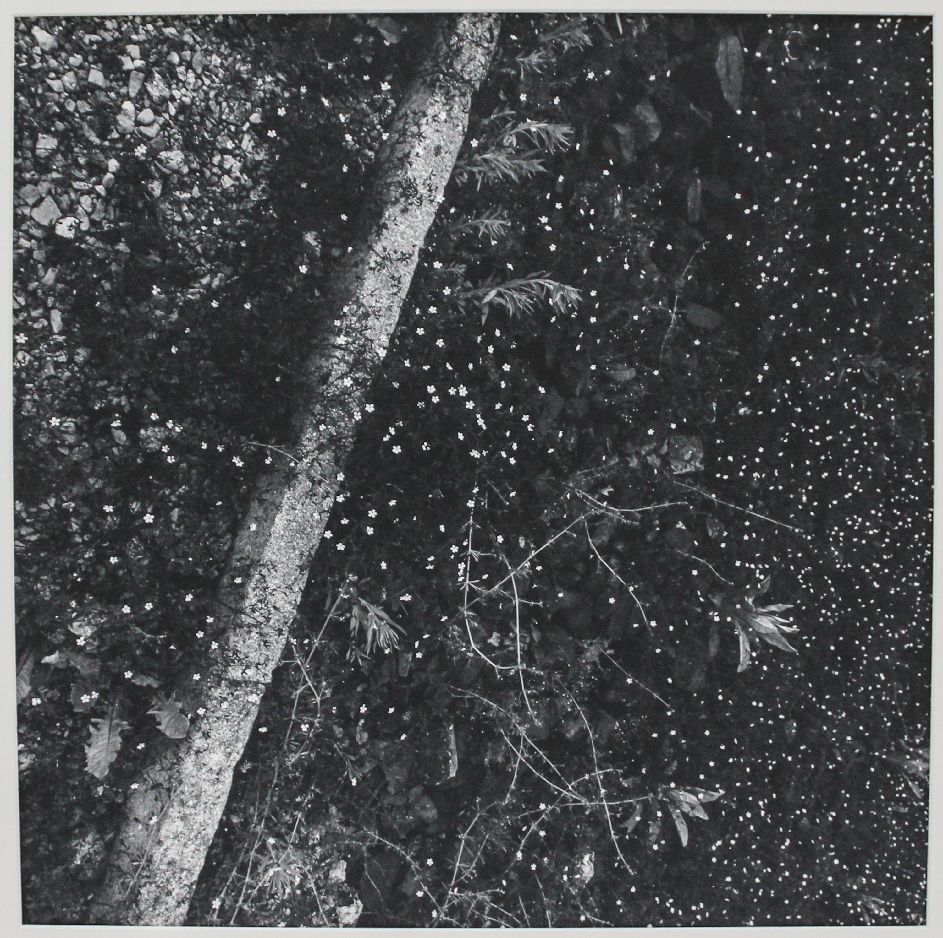 Alan Cohen, (American, b. 1943), Now (Buchenwald), 1994