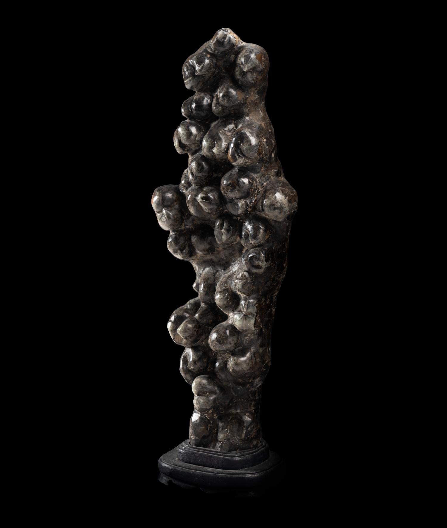 A Chinese Scholar's Rock