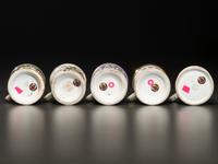 Five Porcelain Shaving Mugs with Floral and Foliate Decoration