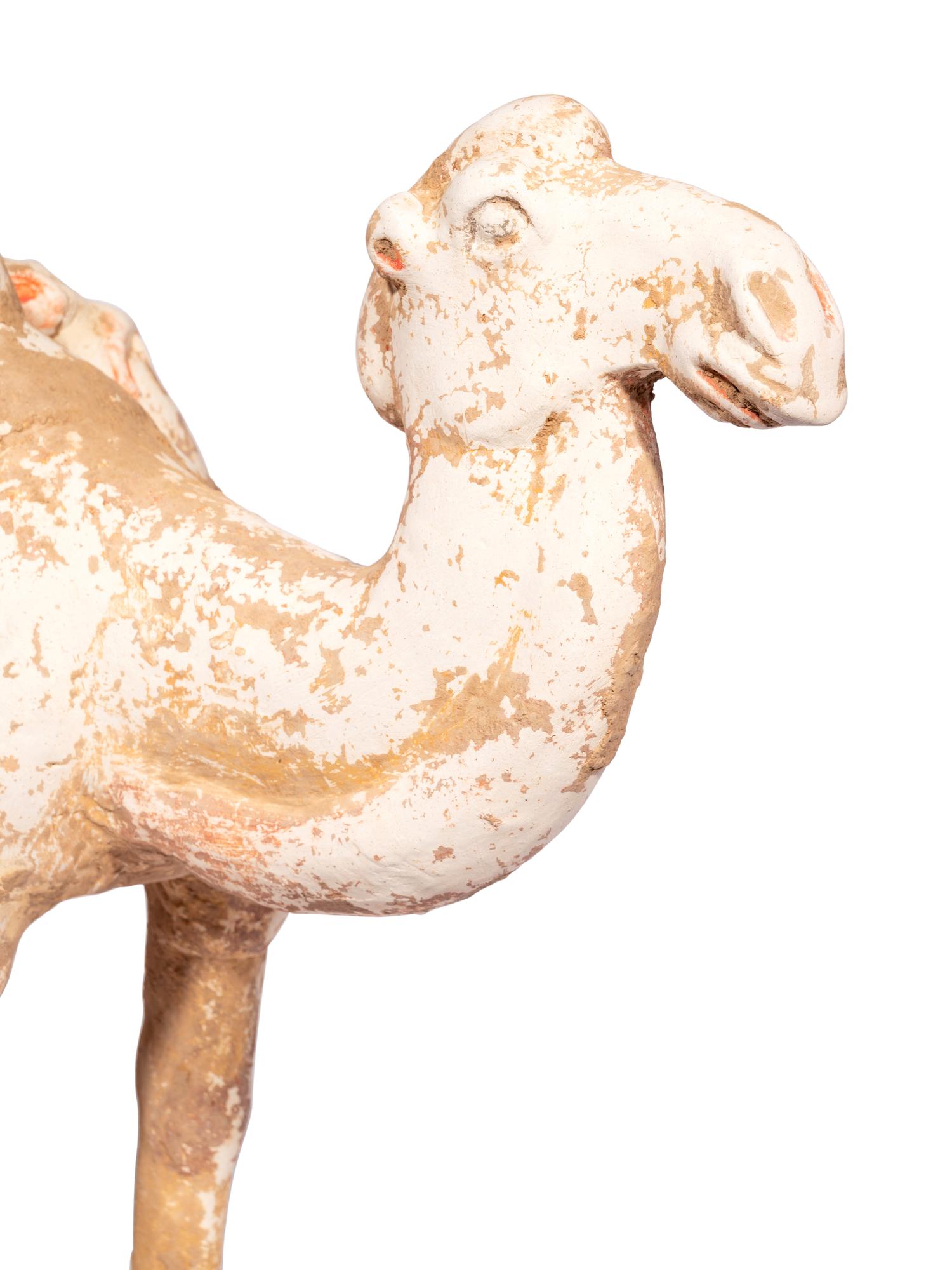 A Chinese Pottery Figure of a Caparisoned Camel