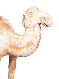 A Chinese Pottery Figure of a Caparisoned Camel