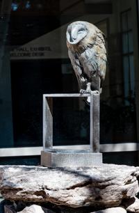 Balancing Act , edition 7/12