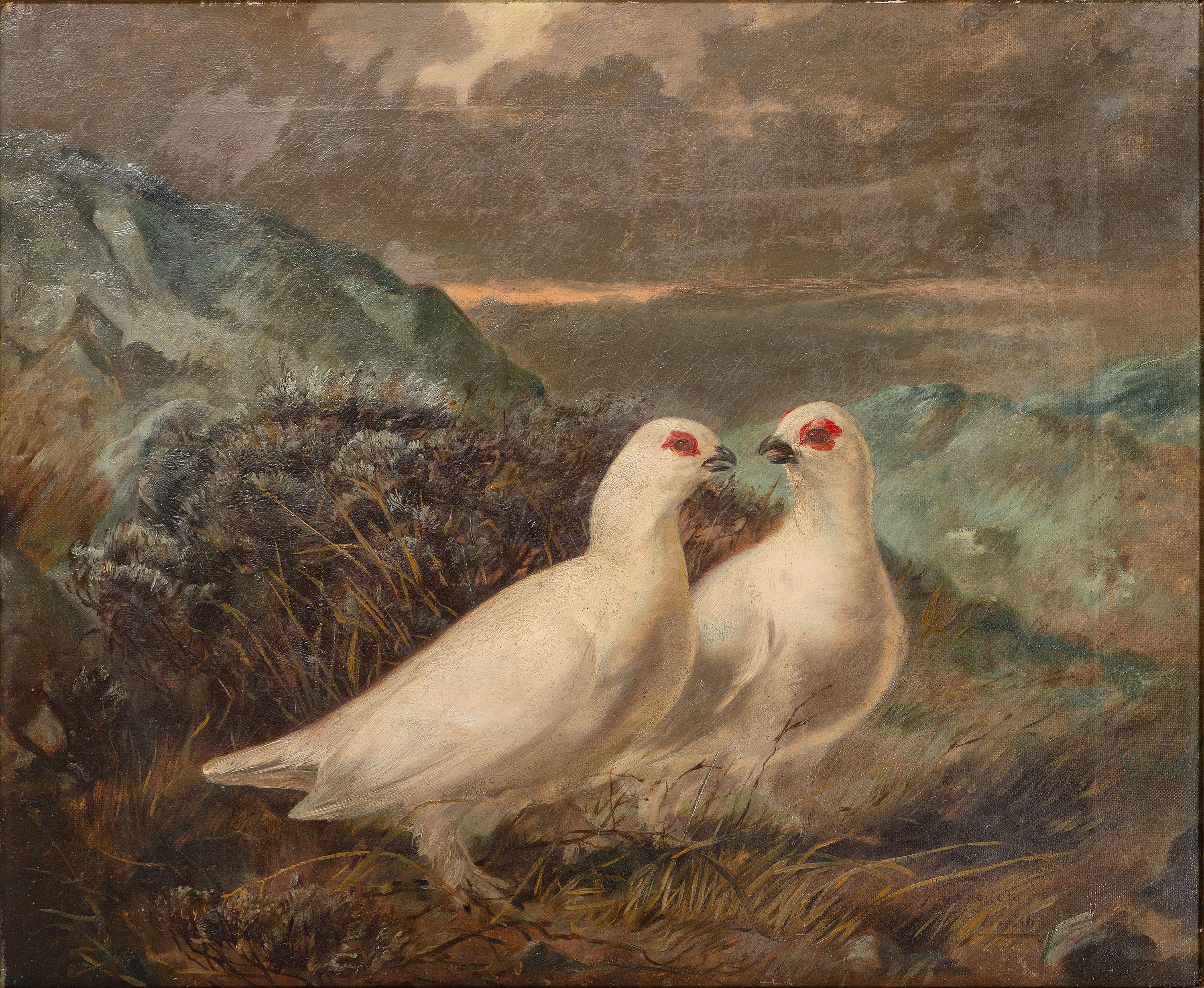 Pair of Doves