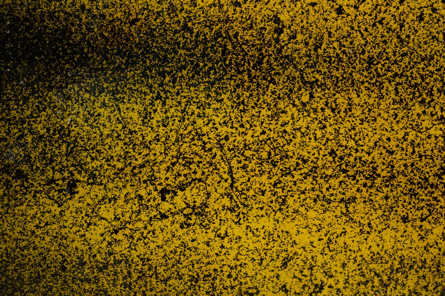 Landscape (Yellow) , 2010