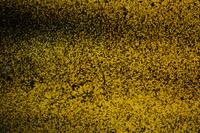 Landscape (Yellow) , 2010
