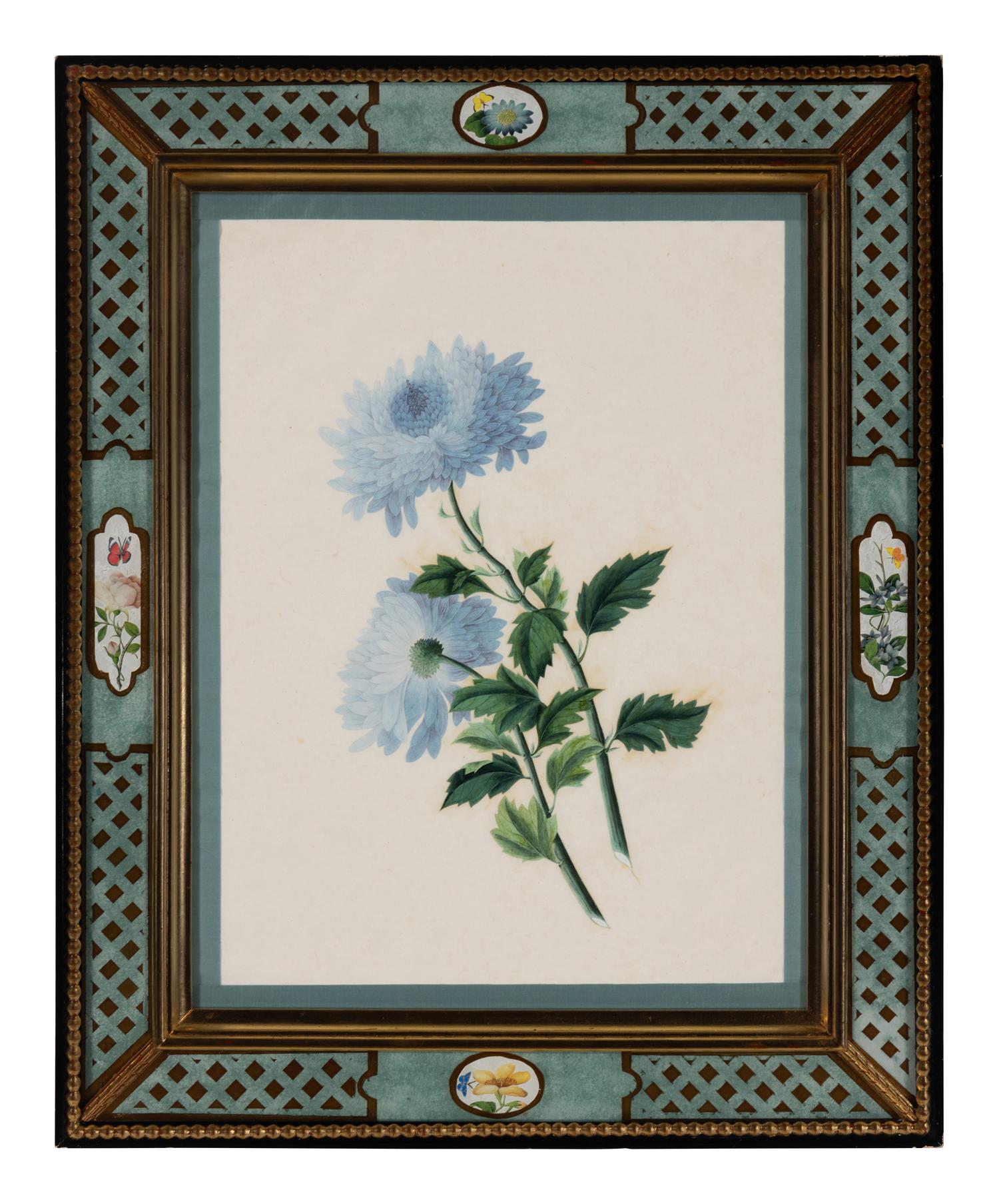 A Pair of Botanical Watercolor Illustrations in Reverse-Painted Glass Frames