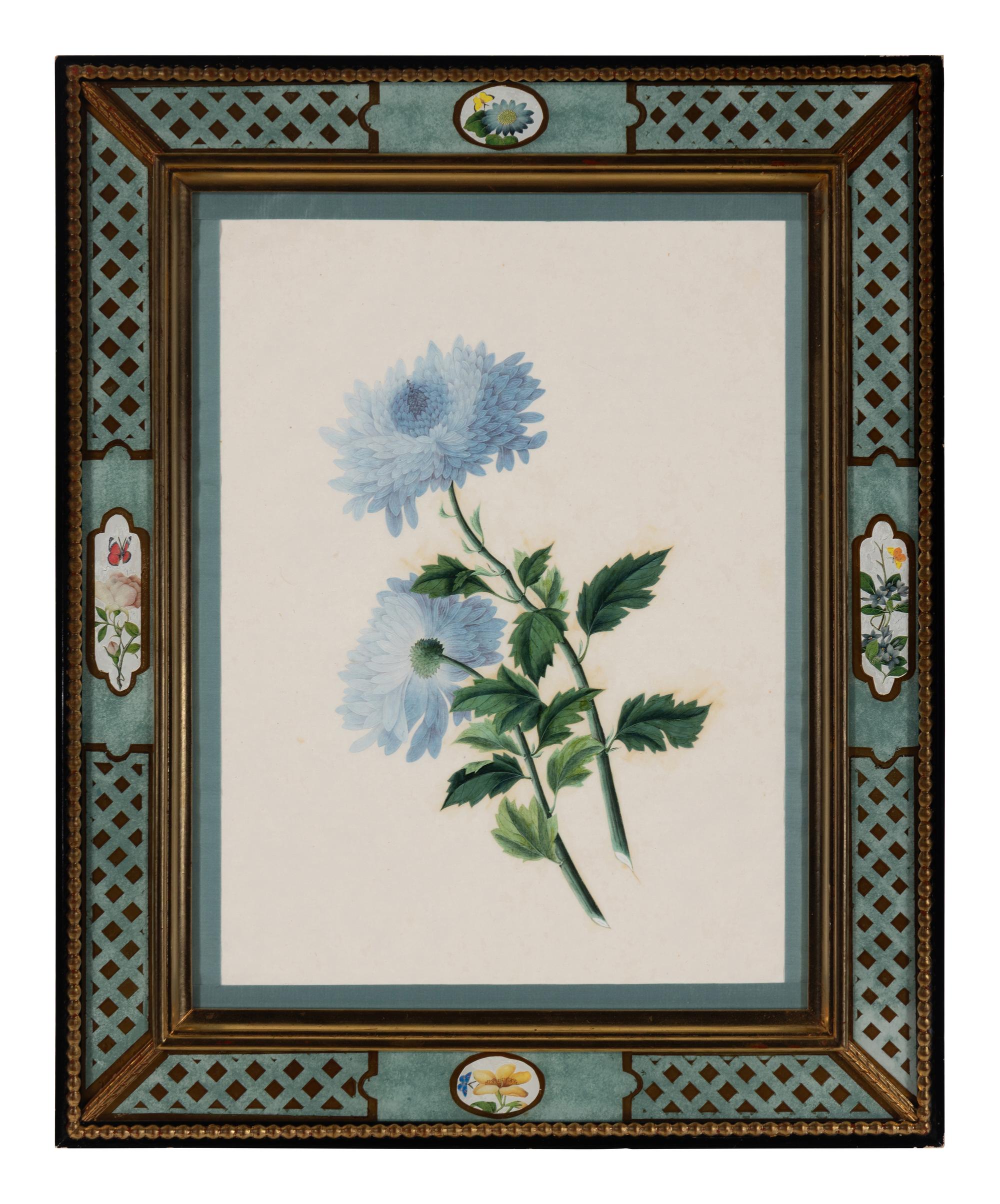 A Pair of Botanical Watercolor Illustrations in Reverse-Painted Glass Frames