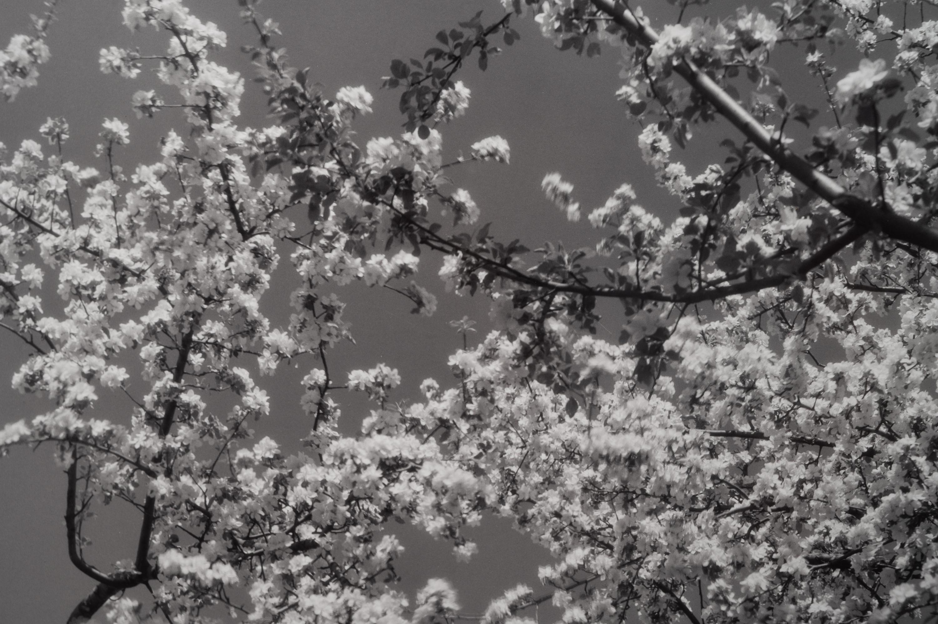 A group of seven photographs (from Harmonic Measure printed by George Tice with labels signed by George Tice and Joanna Steichen)