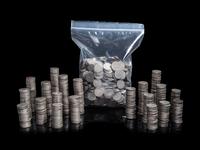 A Large Collection of Liberty Head 5c Coins