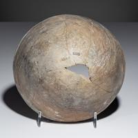 Ancestral Pueblo, Mimbres Classic Black-on-White Pottery Bowl, with Fish