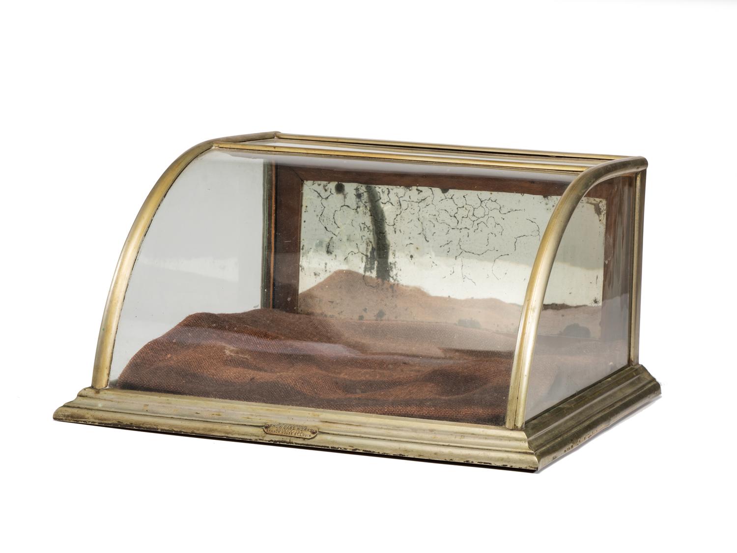 A Pair of Excelsior Show Case Works Metal Frame Countertop Display Cases
