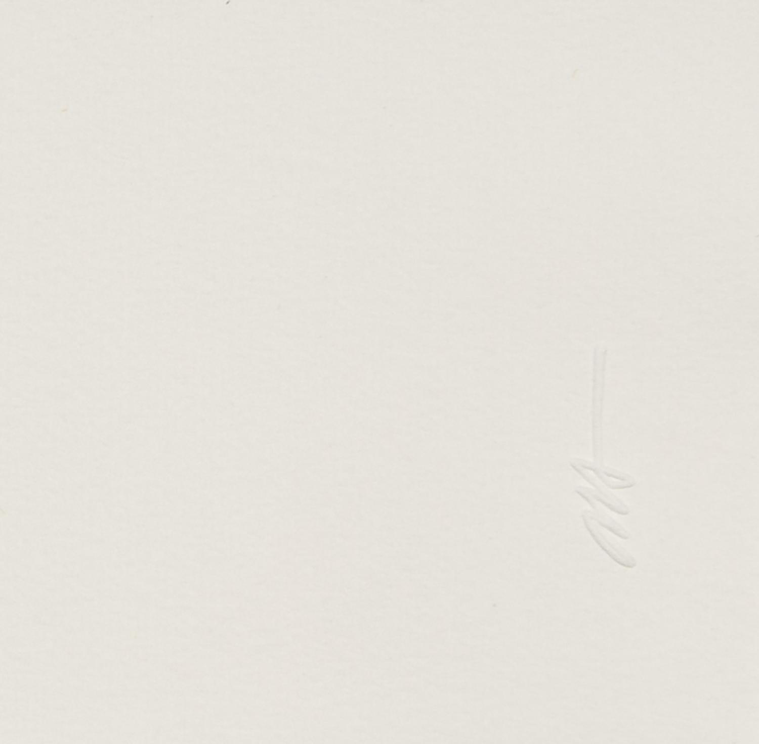 Untitled from Flowers Suite , 1979