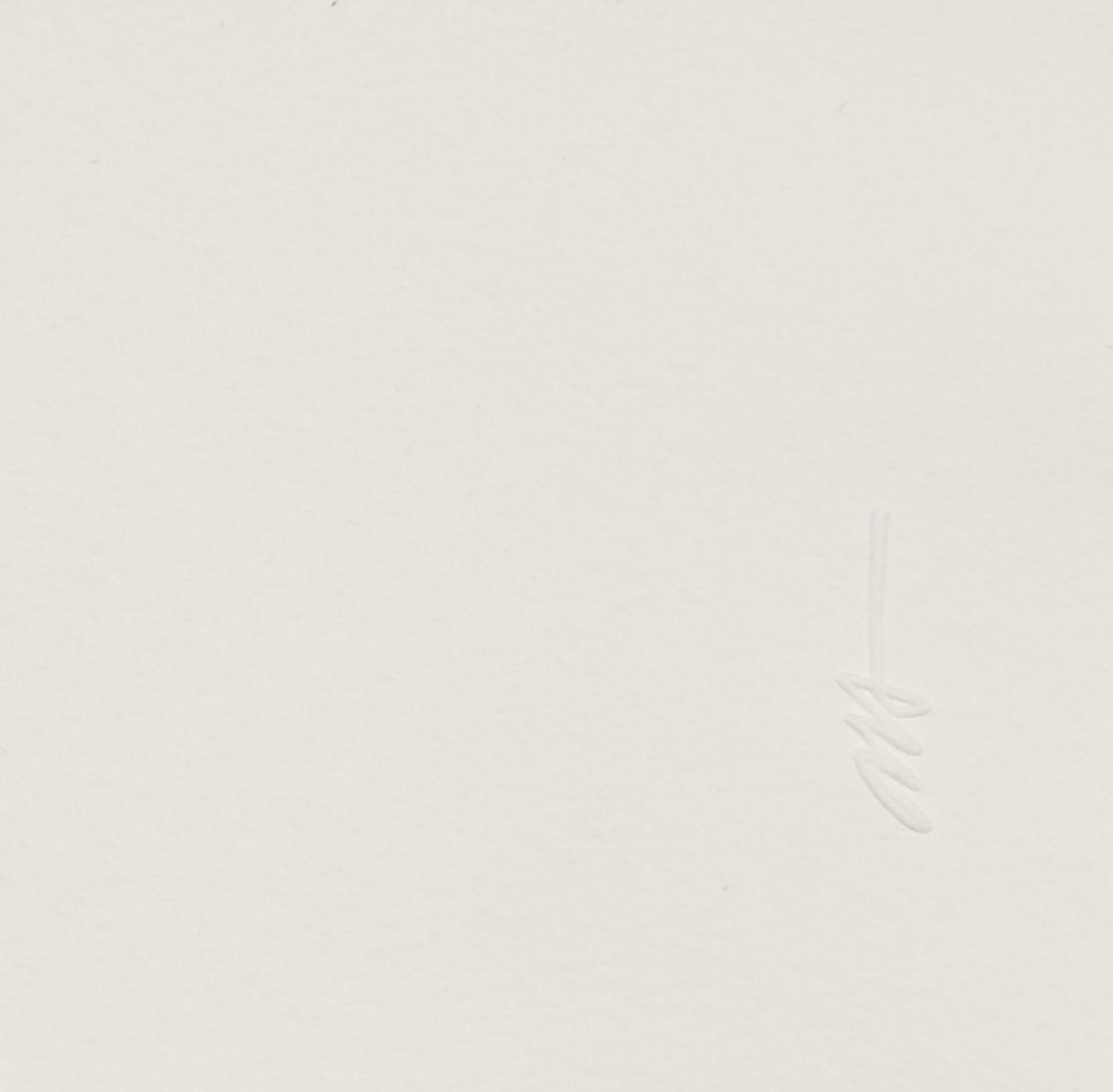 Untitled from Flowers Suite , 1979