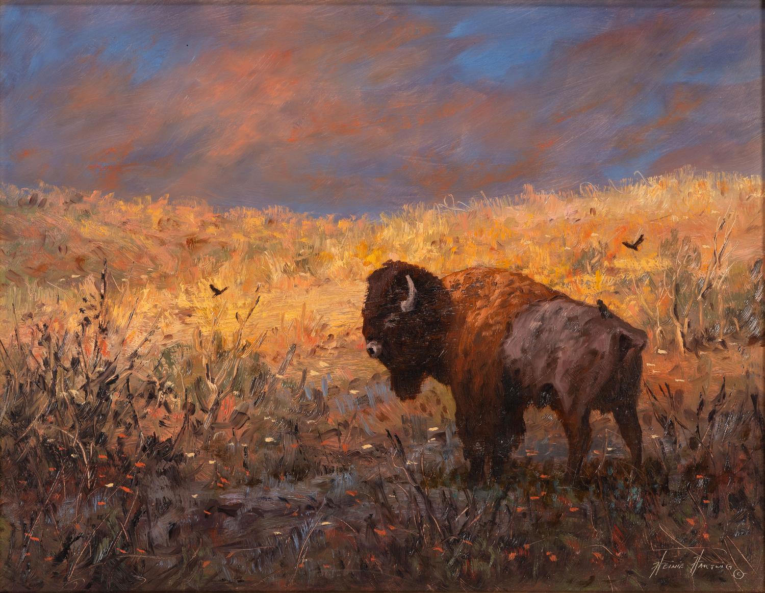 Lone Bull