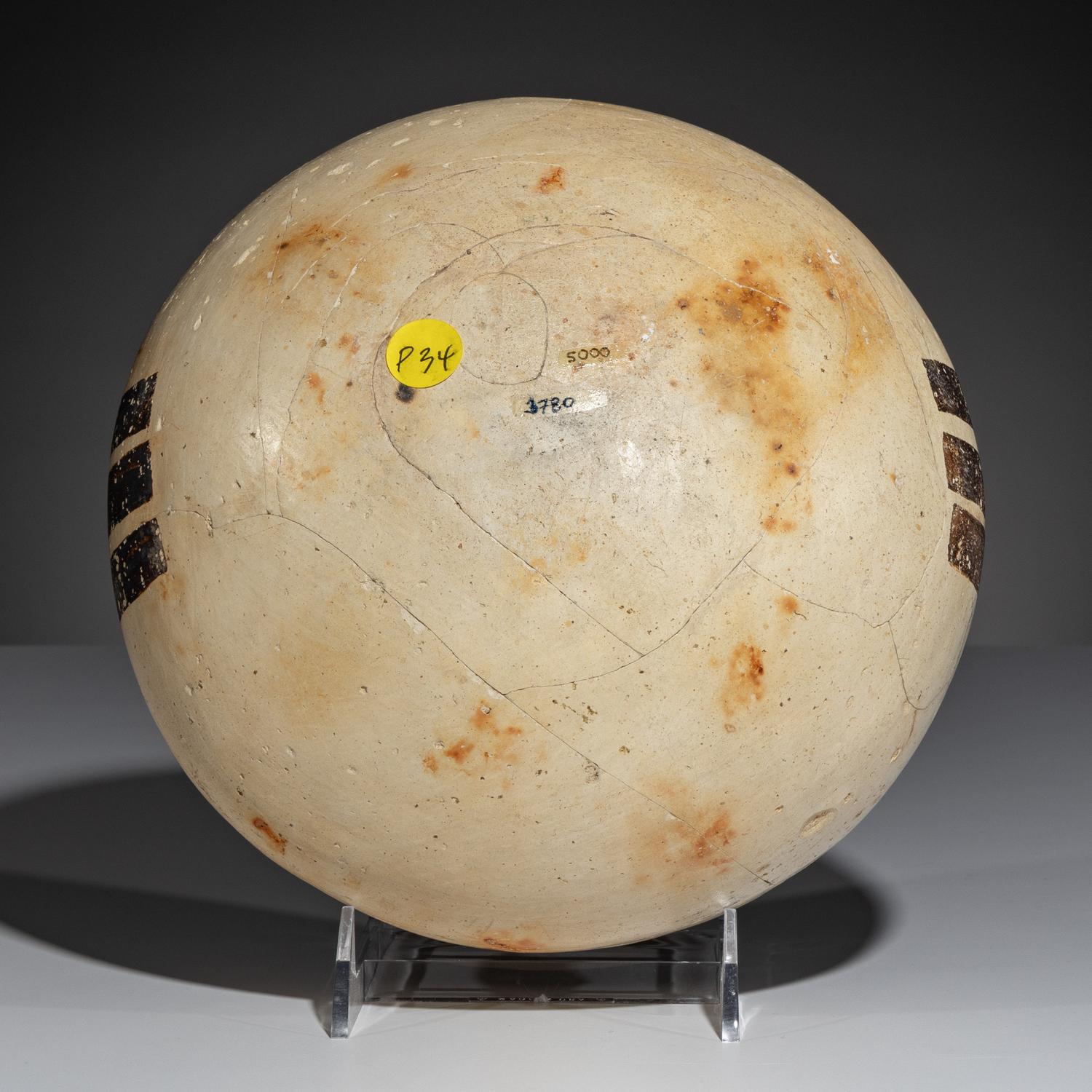 Ancestral Pueblo, Sikyatki Polychrome Pottery Bowl, with Abstract Parrot