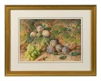 Still-Life of Fruit