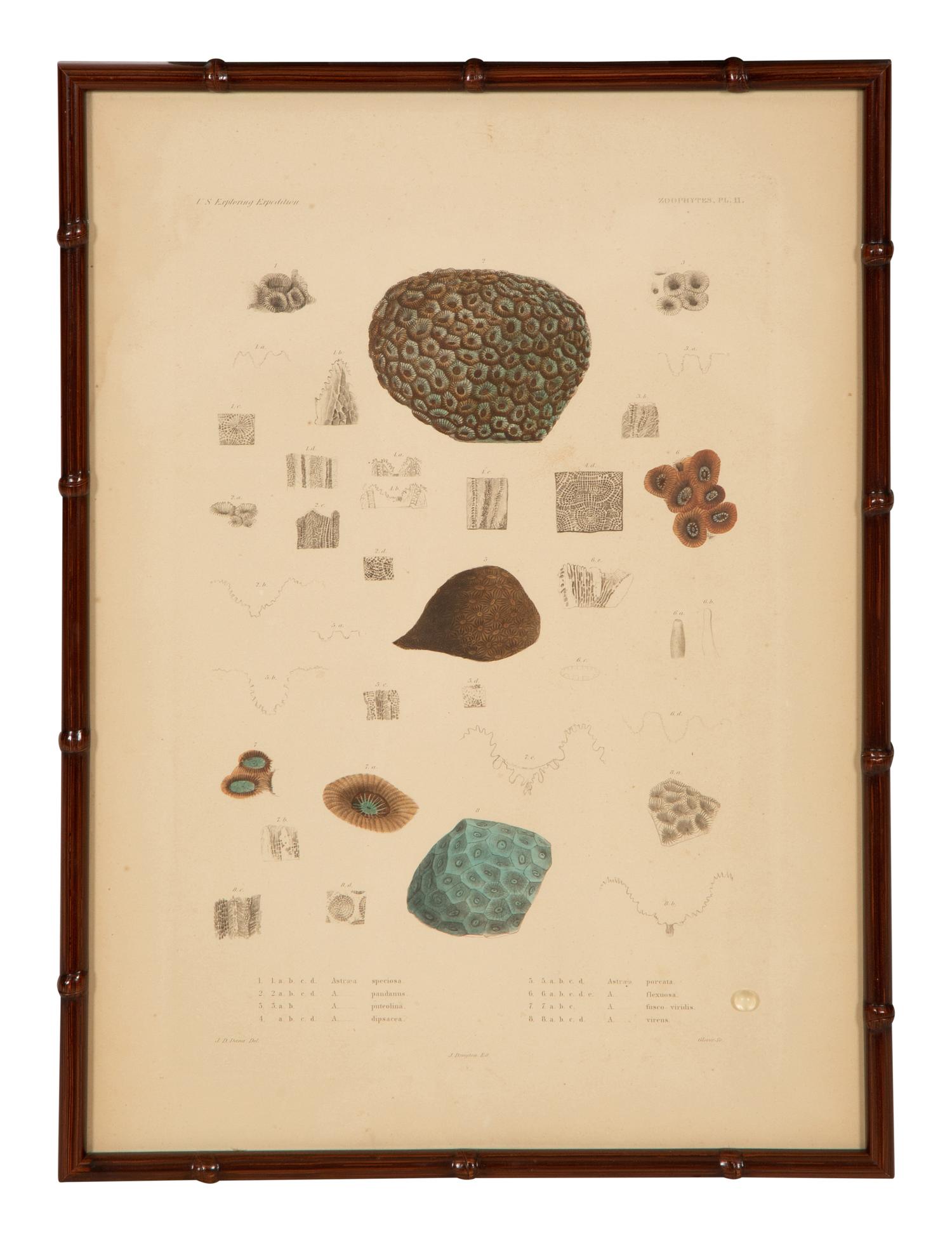 A Set of Four Framed Hand Colored Engravings