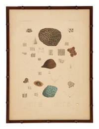 A Set of Four Framed Hand Colored Engravings