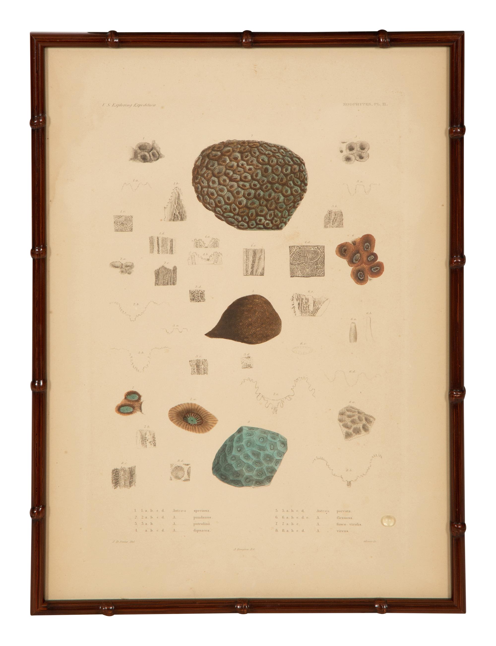 A Set of Four Framed Hand Colored Engravings