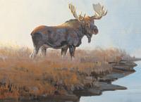 Morning Mist , 1994