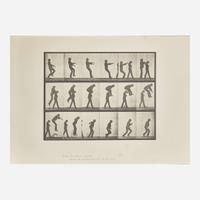[Photography] Muybridge, Eadweard Collection of 111 Plates from "Animal Locomotion. An Electro-Photographic Investigation of Consecutive Phases of Animal Movements. 1872-1885"