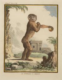 Four Framed Copper Plate Engravings from Le Comte de Buffon, Quadrupeds from Histoire Naturelle