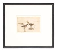 Pair of Snipe