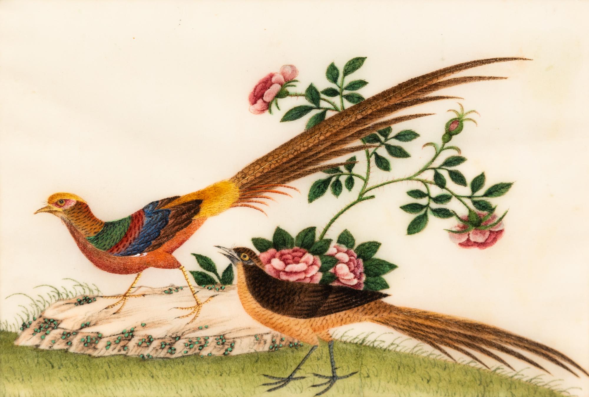 A Collection of Twelve Chinese Export Pith Paintings