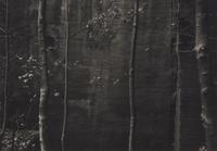 A Quality of Dancing, Millersdale, Derbyshire, England, 1983 and Ceremonial Veil, Nesscliffe, Shropshire, England, 1976 (two works)
