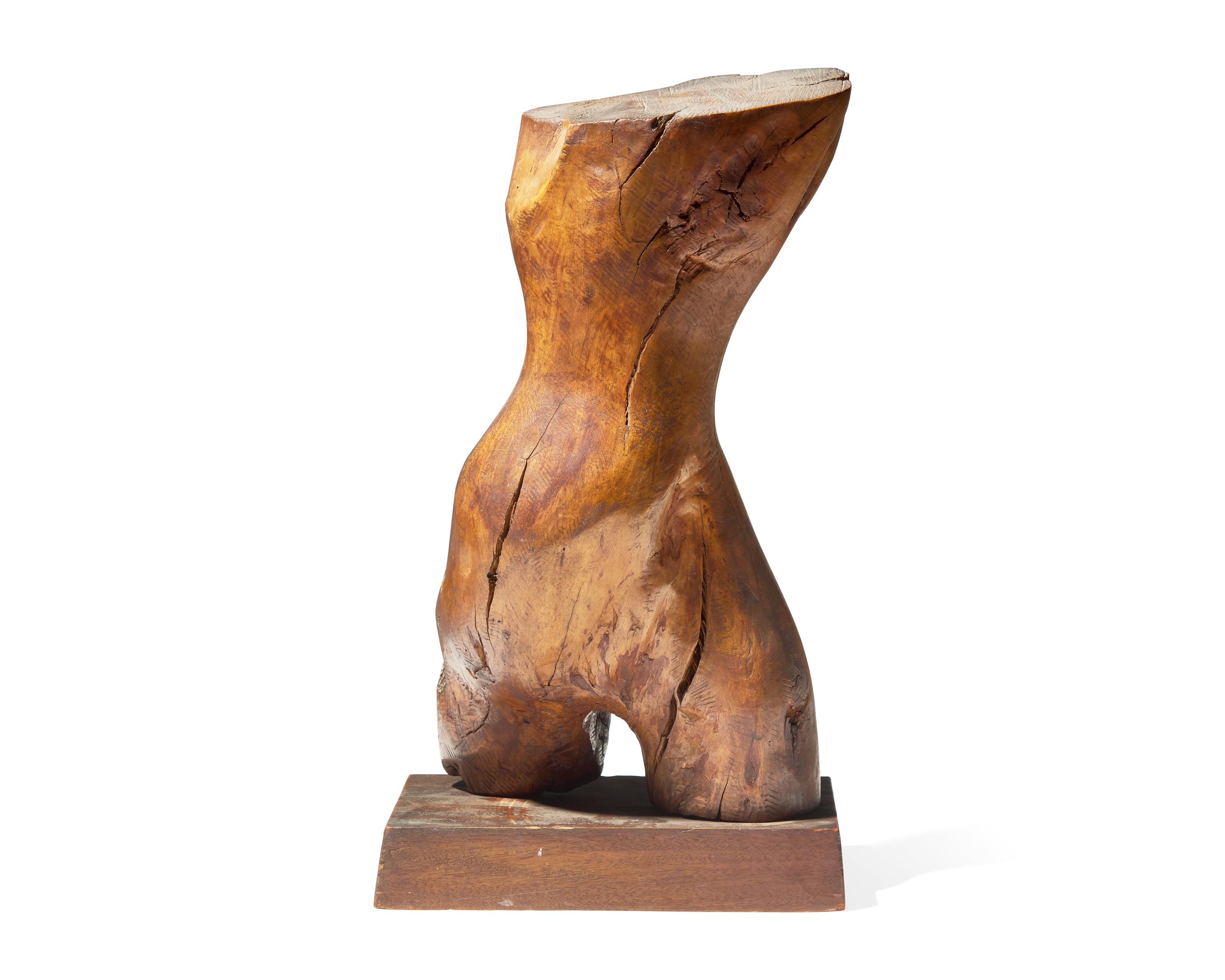 Torso