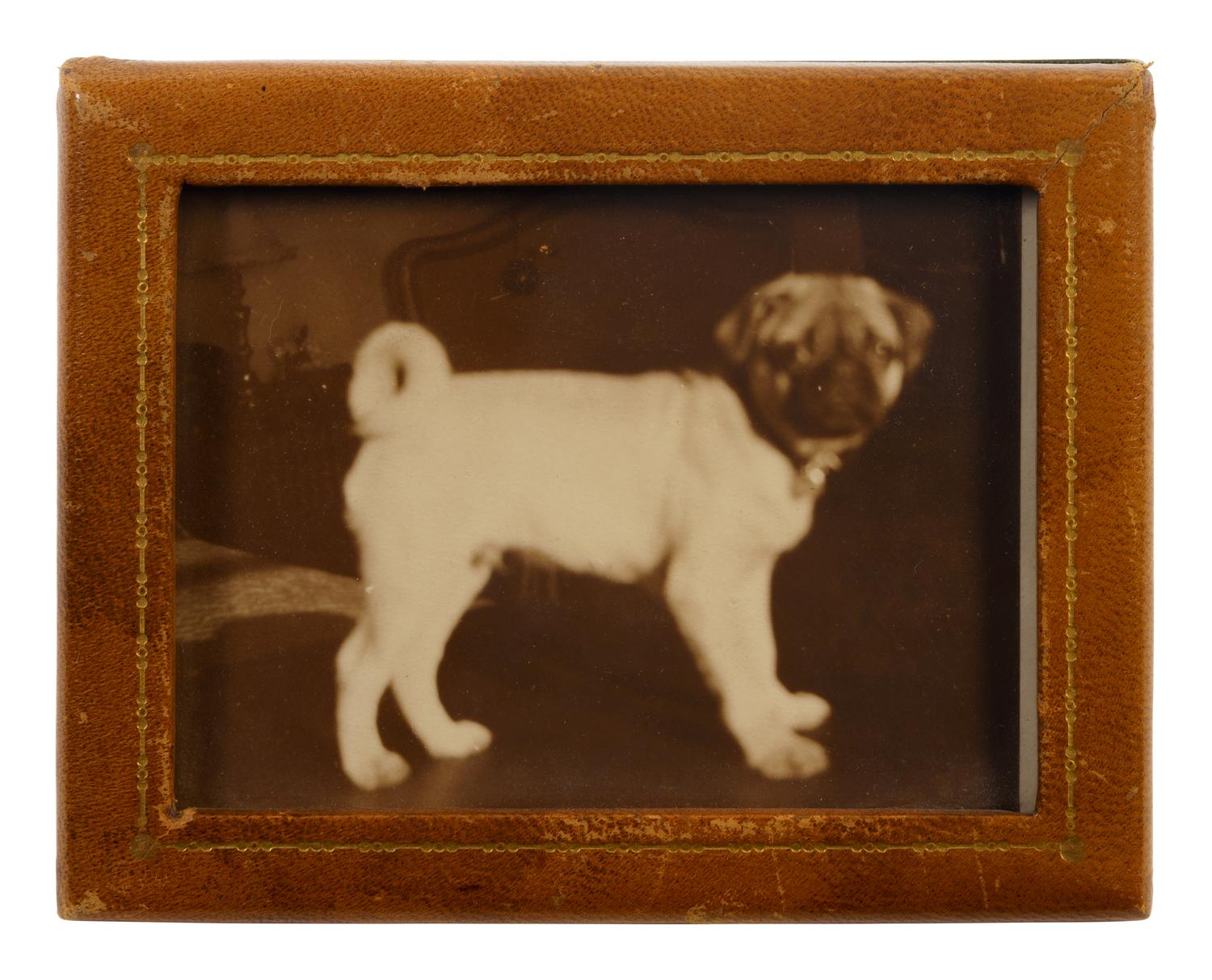 A Group of Duke and Duchess of Windsor Pug Related Items