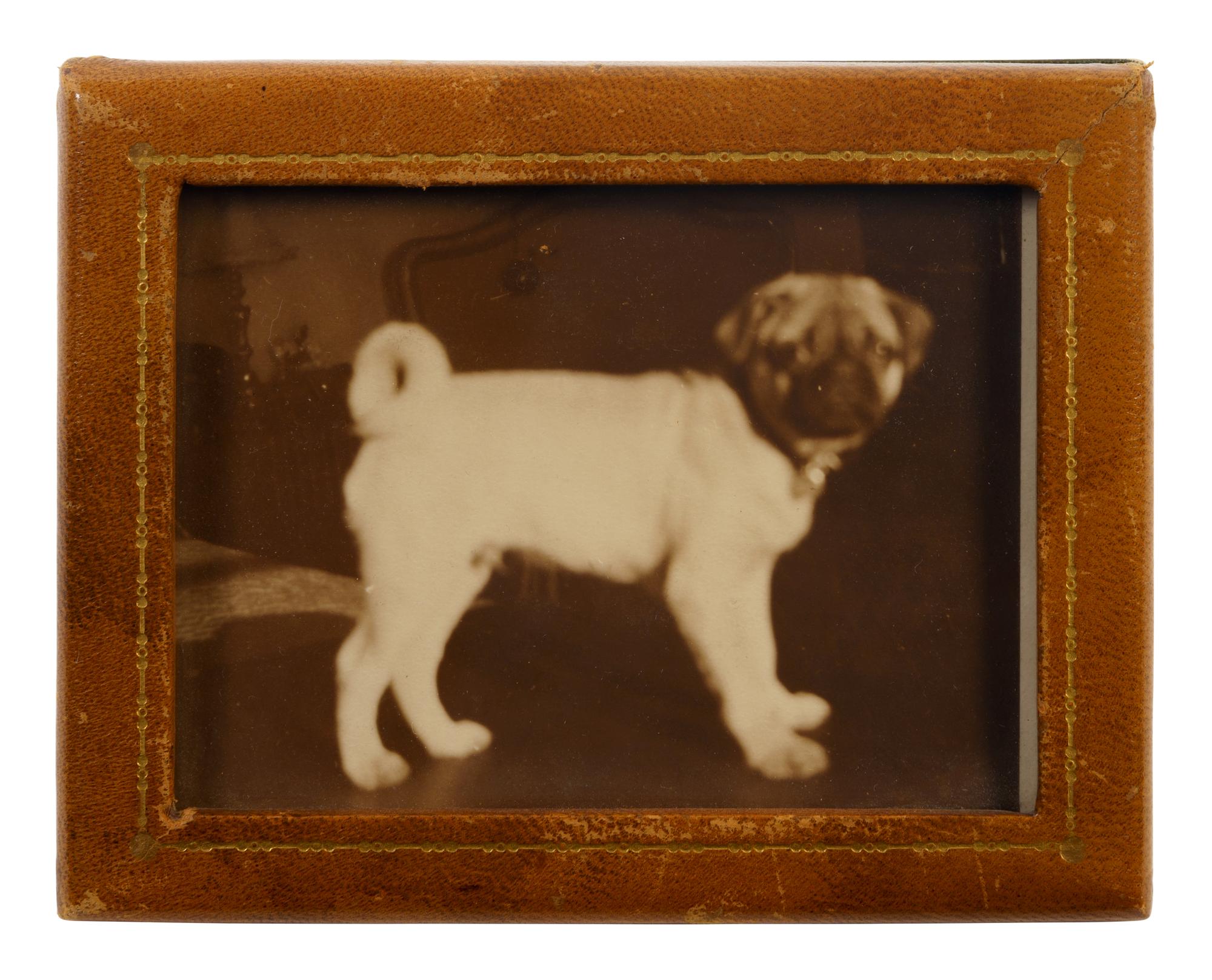A Group of Duke and Duchess of Windsor Pug Related Items