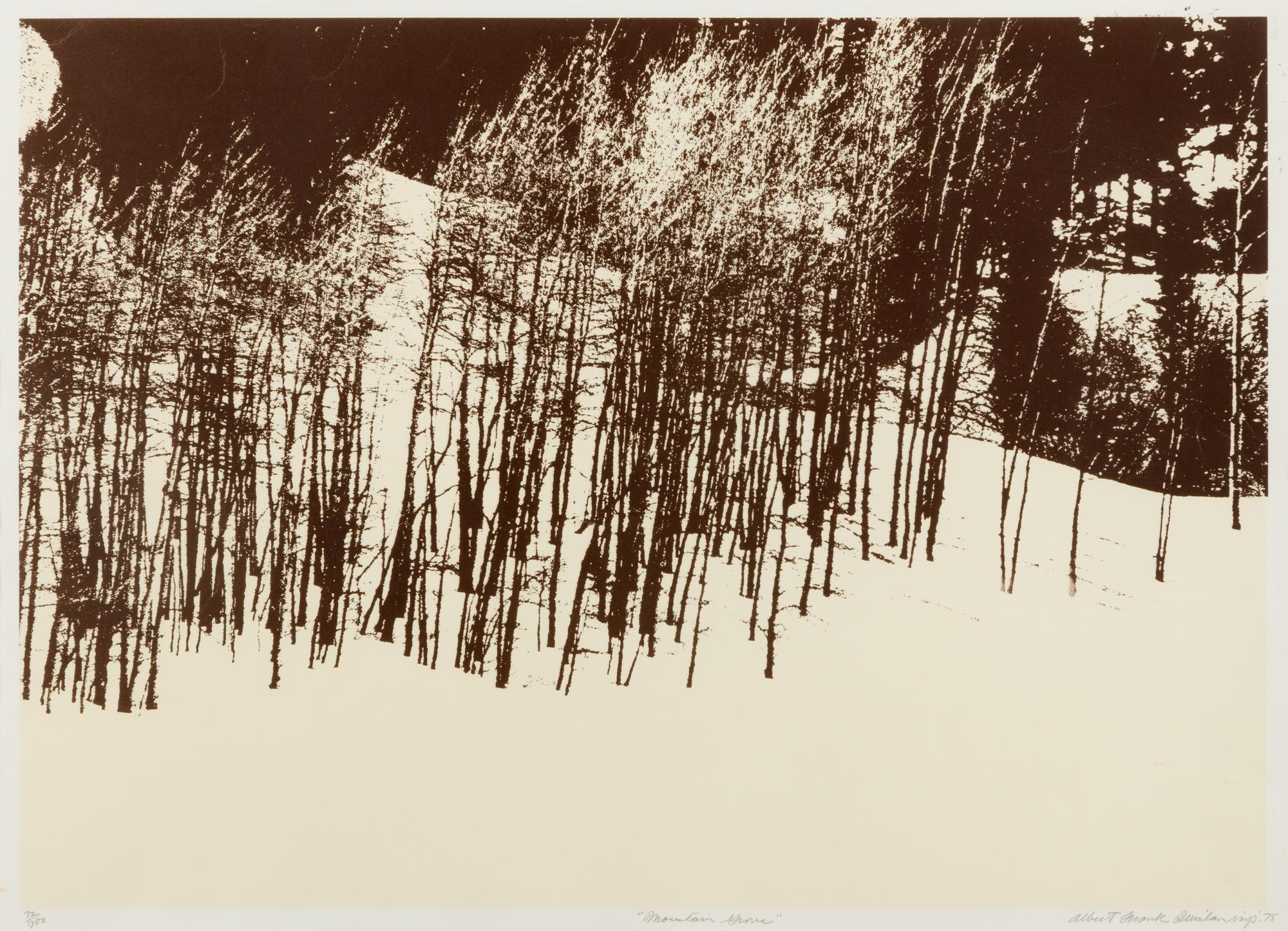 Mountain Grove, 1975 and Sunflowers After, 1972