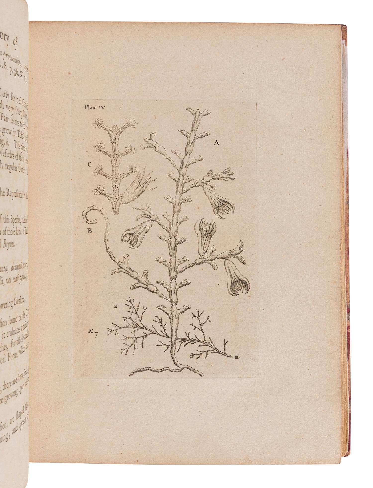 ELLIS, John (1710-1776). An Essay towards a Natural History of the Corallines and other Marine Productions...Commonly Found on the Coasts of Great Britain and Ireland. London: for the author, 1755.