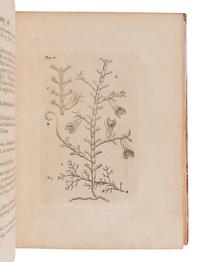 ELLIS, John (1710-1776). An Essay towards a Natural History of the Corallines and other Marine Productions...Commonly Found on the Coasts of Great Britain and Ireland. London: for the author, 1755.